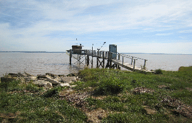 COUQUEQUES-gironde