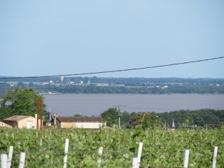 RANDO SAINT-CIERS-DE-CANESSE 10 KM-gironde