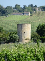 RANDO SAINT-CIERS-DE-CANESSE 10 KM-gironde