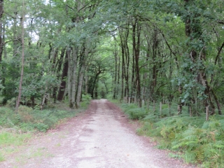 RANDO CAVIGNAC 8 KM-gironde