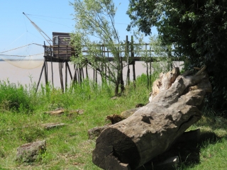 RANDO ROQUE DE THAU 8.9 KM-gironde