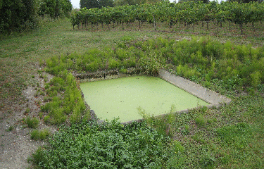 SAINT-LOUBES-gironde
