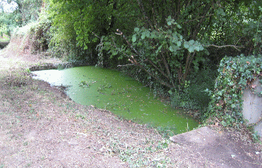 SAINT-LOUBES-gironde