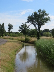 RANDO BRAUD ET ST LOUIS 12 KM-gironde