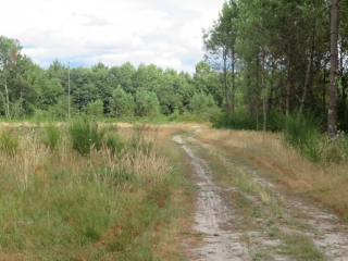 RANDO LARUSCADE 7.3 KM-gironde