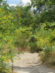 RANDO LARUSCADE 7.3 KM-gironde