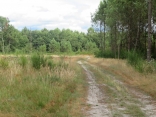 RANDO LARUSCADE 7.3 KM-gironde
