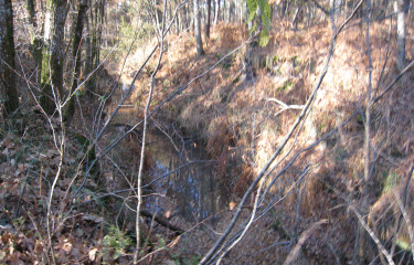 Martignas-sur-Jalle-gironde