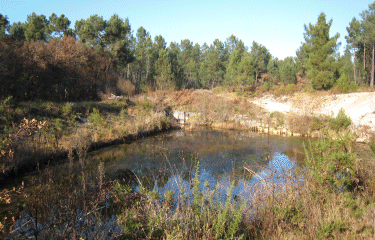Martignas-sur-Jalle-gironde