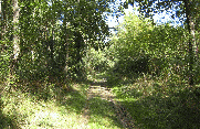 VIRELADE-gironde