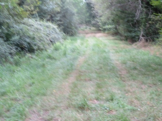 RANDO CIVRAC-DE-BLAYE 7.3 KM-gironde