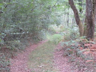 RANDO CIVRAC-DE-BLAYE 7.3 KM-gironde