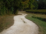 RANDO ST-GENES-DE-FRONSAC - 6.6 KM-gironde