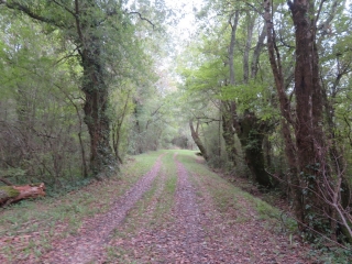 RANDO ST URBAIN 5.8 KM-gironde