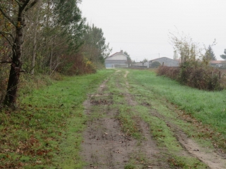 RANDO CAVIGNAC 10.31 KM-gironde