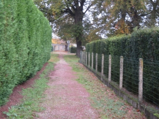 RANDO CAVIGNAC 10.31 KM-gironde