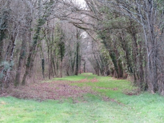 RANDO PEUJARD 9 KM-gironde