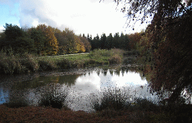 TOUR DU LAC DE BORDEAUX-gironde