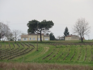 RANDO ST VIVIEN DE BLAYE 10.76 KM-gironde