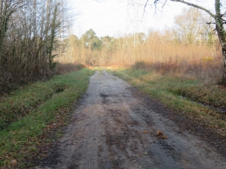 RANDO CUBNEZAIS 10.32 KM-gironde