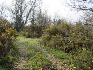 RANDO CUBNEZAIS 10.32 KM-gironde