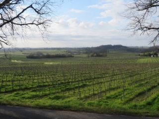 RANDO TEUILLAC 9.7 KM-gironde