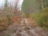 RANDO ST-YZAN-DE-SOUDIAC 8.4 KM-gironde