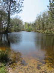 RANDO MARCILLAC 11 KM-gironde
