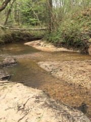 LE PIAN-MEDOC - BALADE PEDESTRE JALLES - ETANG - SOUS BOIS-gironde