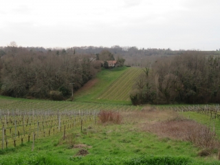 RANDO SAINT-CIERS-DE-CANESSE 10.4 KM-gironde