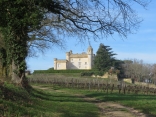 RANDO CAMARSAC 7 KM-gironde