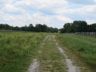 RANDO CEZAC 9.7 KM-gironde