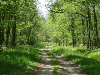 RANDO CEZAC 9.7 KM-gironde