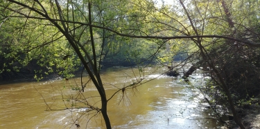 LAMOTHE-MIOS LE LONG DE L EYRE (RIVE DROITE) ALLER-RETOUR-gironde