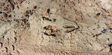 LAMOTHE-MIOS LE LONG DE L EYRE (RIVE DROITE) ALLER-RETOUR-gironde