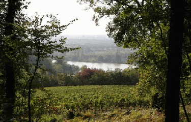 SAINT-CAPRAIS-DE-BORDEAUX-gironde