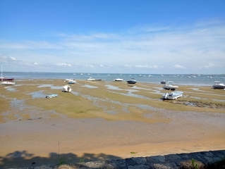 LEGE-CAP-FERRET - POINTE AUX CHEVAUX-gironde