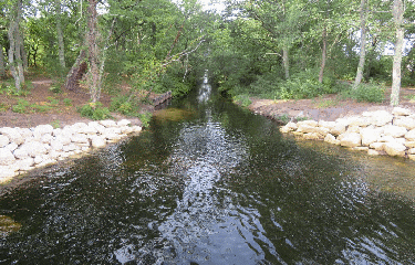 RANDO LA TESTE DE BUCH 10.45 KM-gironde