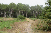 RANDO LA TESTE DE BUCH 10.45 KM-gironde