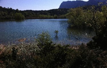 MAS DE LONDRE - JASSE-herault