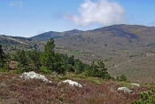CAMPLONG - PECH MEGE-herault
