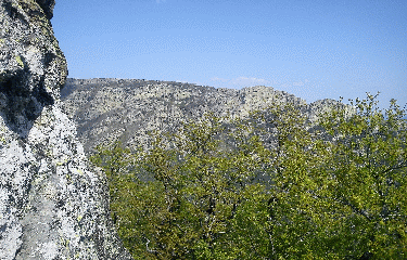 MASSIF DU CAROUX-herault