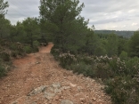 RANDONNEE DES 4 COLLINES AUTOUR DE GRABELS-herault