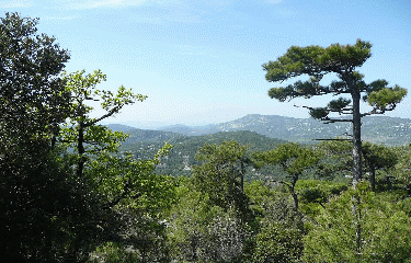 LES LAVAGNES-herault