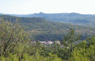 LE ROC DE BESSEDES-herault