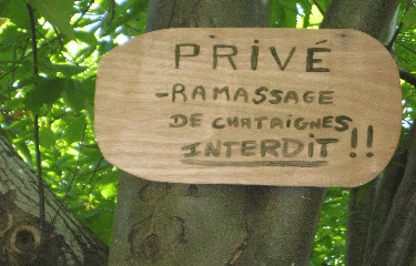 LE ROC DE BESSEDES-herault