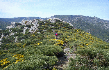 RUINES DE CASSENIOLS-herault