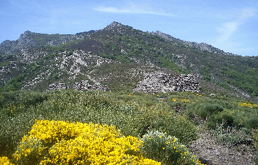 RUINES DE CASSENIOLS-herault