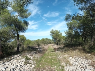 MONTAUD ET BUZIGNARGUES - CHATEAU DE MONTLAUR ET CHEMINS ENTRE LES VIGNES-herault