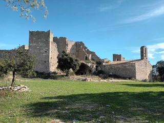 MONTAUD ET BUZIGNARGUES - CHATEAU DE MONTLAUR ET CHEMINS ENTRE LES VIGNES-herault